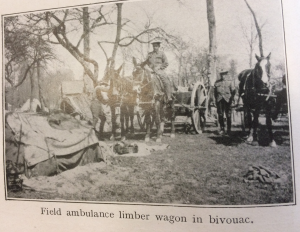 Field Ambulance limber wagon in bivouac